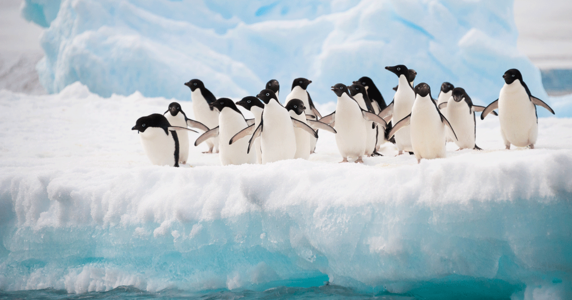 CentOS 6 利用者向け、メンテナンス更新終了後の修正パッケージ提供サービスを低コストで購入できる先行受付を開始