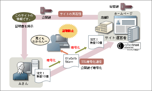 証明書を掲示 秘密鍵 サイトの実在性 公開鍵 ホームページ サイト運営者 SSL暗号化通信 サイバートラスト