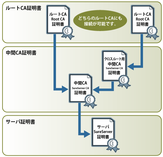 クロスルート方式の証明書階層