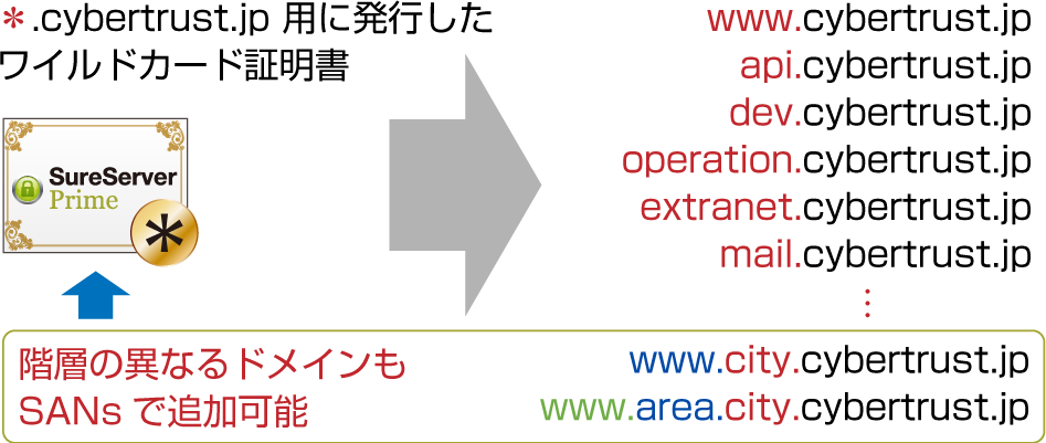 *.cybertrust.co.jp」をコモンネームとしたワイルドカード証明書があれば、「www.cybertrust.co.jp」をはじめ、「api.cybertrust.co.jp」、 「mail.cybertrust.co.jp」といったサーバーにも利用することができます。